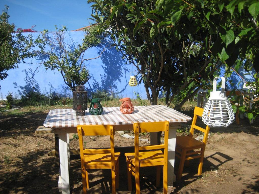 Lemon Tree Hostel Areia Branca Kamer foto
